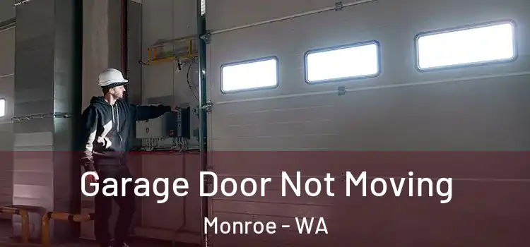  Garage Door Not Moving Monroe - WA