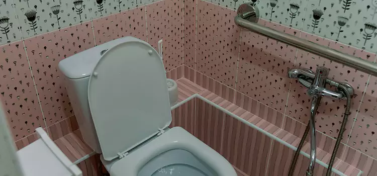 Meeting Diverse Needs With Accessible Restroom Solutions in Monroe, WA